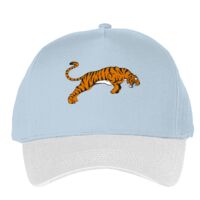 Classic 5-panel snapback (6007) Vignette