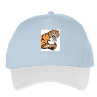 Classic 5-panel snapback (6007) Vignette