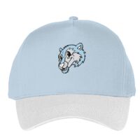 Classic 5-panel snapback (6007) Vignette