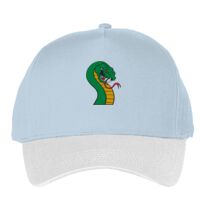 Classic 5-panel snapback (6007) Vignette