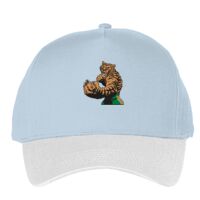 Classic 5-panel snapback (6007) Vignette