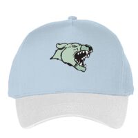 Classic 5-panel snapback (6007) Vignette