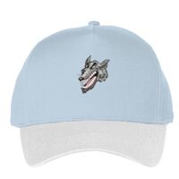 Classic 5-panel snapback (6007) Vignette