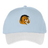 Classic 5-panel snapback (6007) Vignette