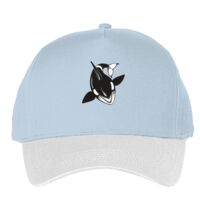 Classic 5-panel snapback (6007) Vignette