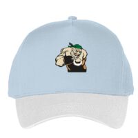 Classic 5-panel snapback (6007) Vignette