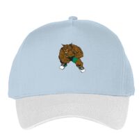 Classic 5-panel snapback (6007) Vignette