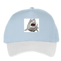 Classic 5-panel snapback (6007) Vignette