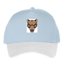 Classic 5-panel snapback (6007) Vignette