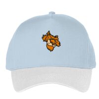 Classic 5-panel snapback (6007) Vignette