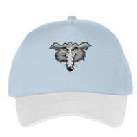 Classic 5-panel snapback (6007) Vignette