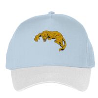 Classic 5-panel snapback (6007) Vignette