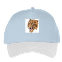 Classic 5-panel snapback (6007) Vignette