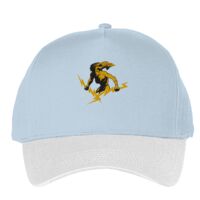 Classic 5-panel snapback (6007) Vignette