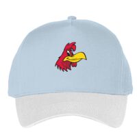 Classic 5-panel snapback (6007) Vignette