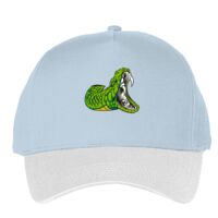 Classic 5-panel snapback (6007) Vignette