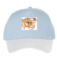 Classic 5-panel snapback (6007) Vignette