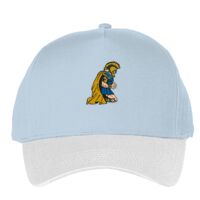 Classic 5-panel snapback (6007) Vignette