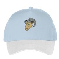 Classic 5-panel snapback (6007) Vignette