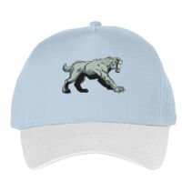 Classic 5-panel snapback (6007) Vignette