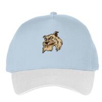Classic 5-panel snapback (6007) Vignette