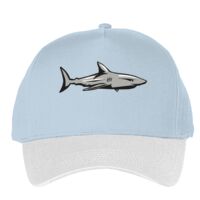 Classic 5-panel snapback (6007) Vignette