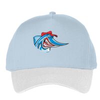 Classic 5-panel snapback (6007) Vignette