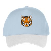 Classic 5-panel snapback (6007) Vignette