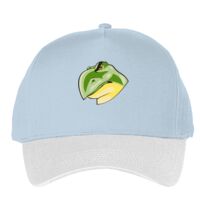 Classic 5-panel snapback (6007) Vignette