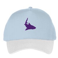 Classic 5-panel snapback (6007) Vignette