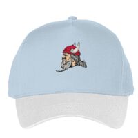 Classic 5-panel snapback (6007) Vignette