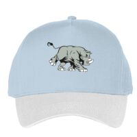 Classic 5-panel snapback (6007) Vignette