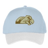 Classic 5-panel snapback (6007) Vignette