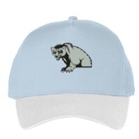 Classic 5-panel snapback (6007) Vignette