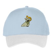 Classic 5-panel snapback (6007) Vignette