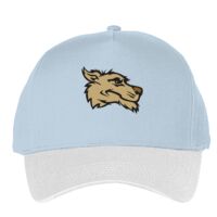 Classic 5-panel snapback (6007) Vignette