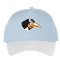 Classic 5-panel snapback (6007) Vignette