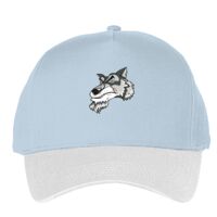 Classic 5-panel snapback (6007) Vignette