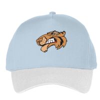 Classic 5-panel snapback (6007) Vignette