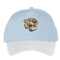 Classic 5-panel snapback (6007) Vignette