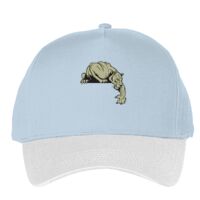 Classic 5-panel snapback (6007) Vignette