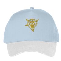 Classic 5-panel snapback (6007) Vignette