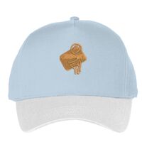 Classic 5-panel snapback (6007) Vignette