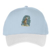 Classic 5-panel snapback (6007) Vignette