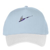 Classic 5-panel snapback (6007) Vignette