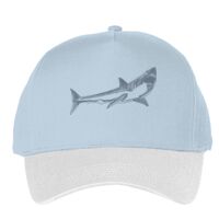 Classic 5-panel snapback (6007) Vignette