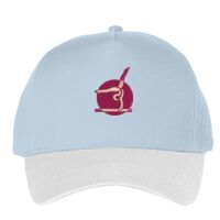 Classic 5-panel snapback (6007) Vignette