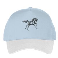 Classic 5-panel snapback (6007) Vignette