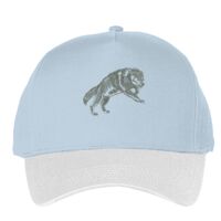 Classic 5-panel snapback (6007) Vignette