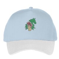 Classic 5-panel snapback (6007) Vignette